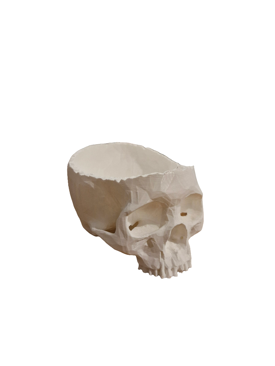 Skull Shaped Planter for Plants