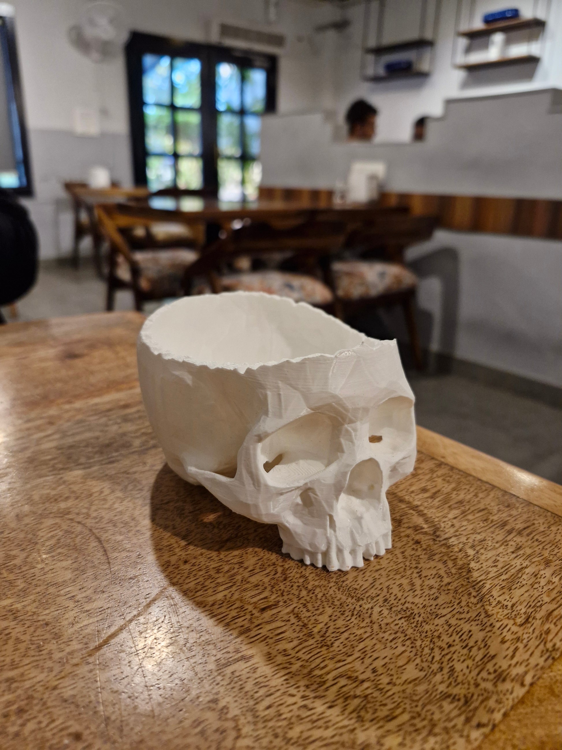 Skull Shaped Planter for Plants